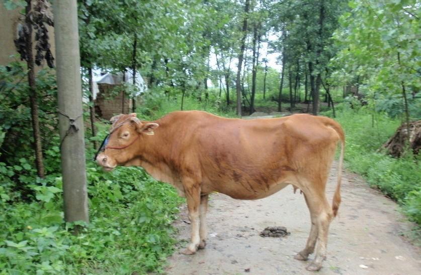 曲靖最新求一个套医保卡的黄牛是真的吗方法分析(最方便真实的曲靖求一个套医保卡的黄牛是真的吗还是假的方法)